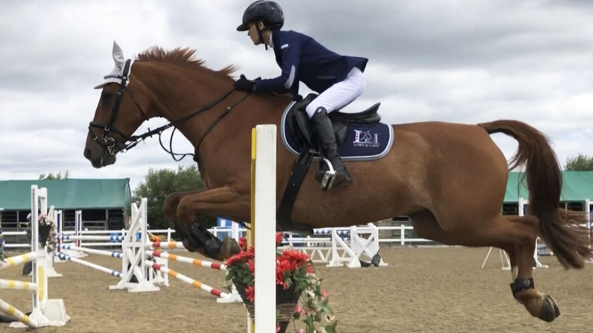 Evie showjumping