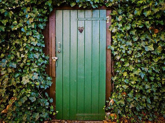 wellspect-green-toilet.jpg